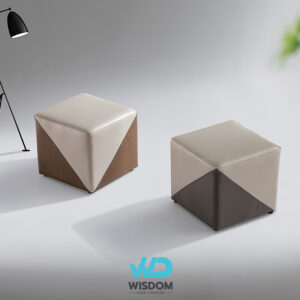 เก้าอี้สตูล เก้าอี้นั่งเล่น เก้าอี้stool cubie Wisdomhome