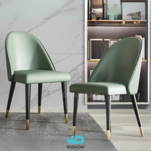 Dining Chair เก้าอี้ทานอาหาร รุ่น Posi