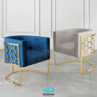 New!! Dining Chair เก้าอี้ทานอาหาร Luxury Series รุ่น Brio